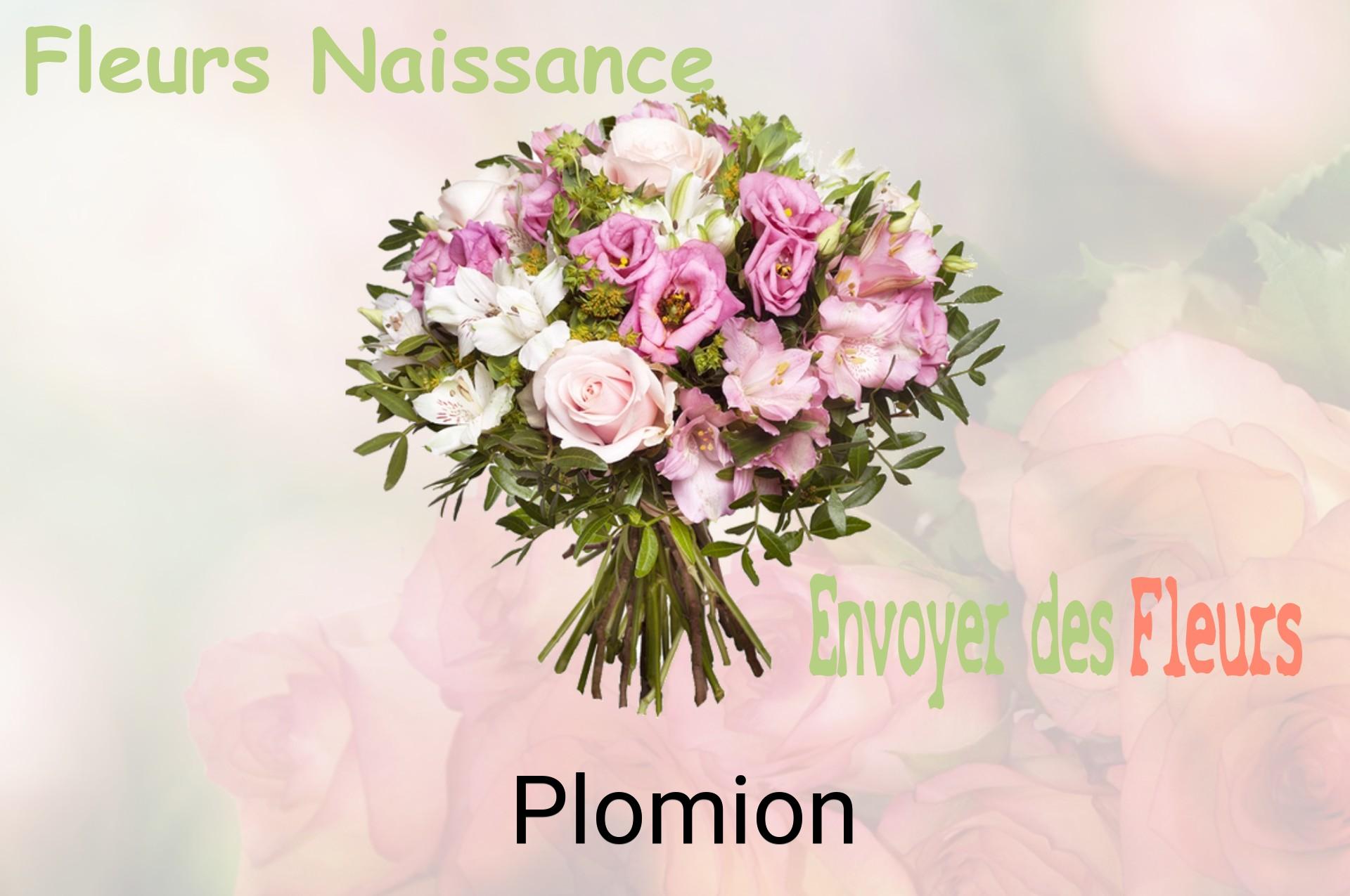 Bouquet de fleurs de naissance livré à Plomion